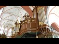 Buxtehude - Passacaglia BuxWV 161 - Ton Koopman