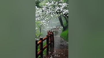 سورة الإسراء آية ٢٥ بصوت خاشع للقارئ إسلام صبحي🌿تلاوة تهز القلوب 💖/Surah Al-Isra 25 – Islam Sobhi🌿
