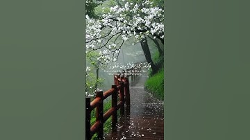 سورة الإسراء آية ٢٥ بصوت خاشع للقارئ إسلام صبحي🌿تلاوة تهز القلوب 💖/Surah Al-Isra 25 – Islam Sobhi🌿