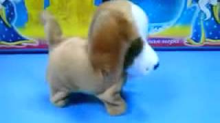 VID 20140404 WA0002