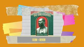 Adekunle Gold - The Life I Chose (slow + reverb) [slowed to perfection]