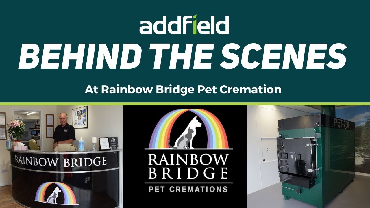 The story behind rainbow Bridge Pet Crematorium YouTube