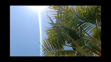 قصة بقرة بني إسرائيل (سورة البقرة 67-74)