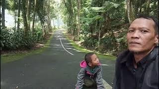 suara tonggeret di gerbang curug cipendok