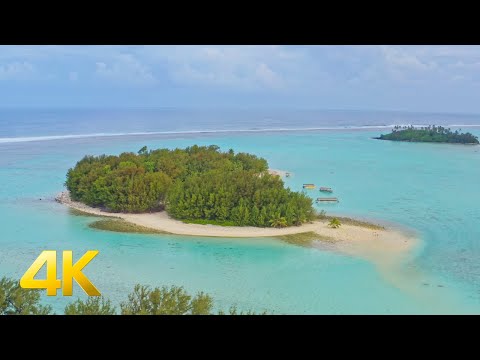 Video: Opdagede James Cook øerne Langerhans?