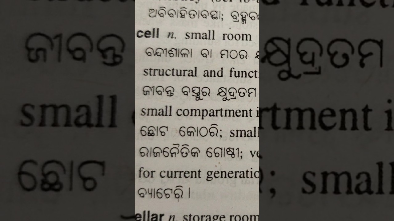 Cell Meaning In Odia English Speaking Practice In Odia education gk Cell Meaning In Odia English Speaking Practice In Odia education gk