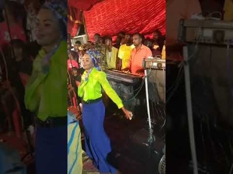 الطاير الصغير