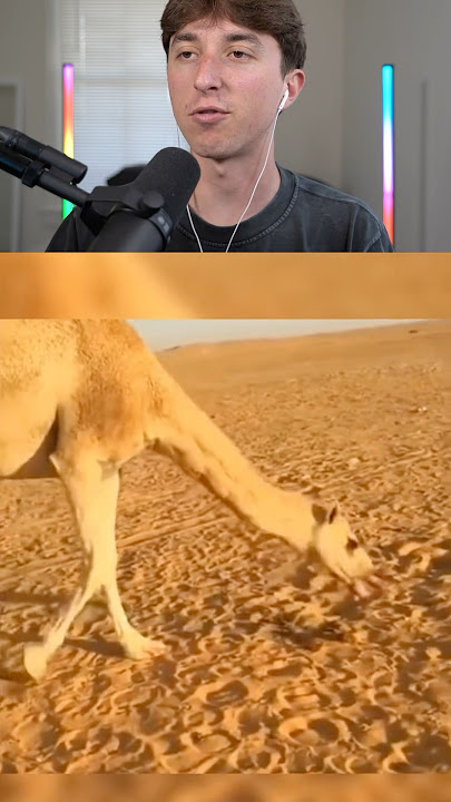animals after rabies 🤯😱