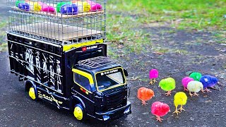 Swing Truck Loads Cute Colorful Chickens