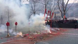 Jan 28 2017 NYC Chinatown Chinese New Year Firecracker Celebration @ Sara Roosevelt Park