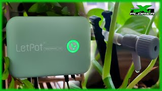 Letpot Automatic Watering System - Review and Testing