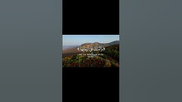 وانشقت السماء _ محمد اللحيدان تلاوة مؤثرة سورة الحاقة