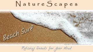 🎧 WAVES ON A SANDY BEACH... Take a relaxing stroll along a sandy beach