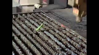 Best fight - Praying Mantis vs. Laser robot