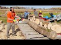 Amazing dangerous firewood processor working incredible homemade wood splitter machines