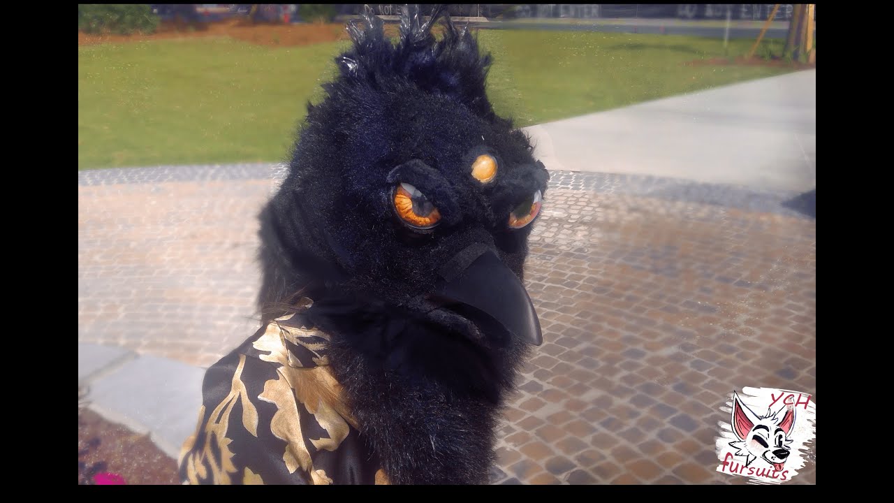 (TRADED) raya the raven fursuit cheap by YCHFURSUITS