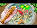 Amazing Fishing | Catch More Colorful FrogsIn Tiny Pond, Phoenix Fish, Angel Fish,Aquarium Fish