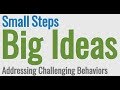 Addressing Challenging Behaviors - Small Steps, Big ideas