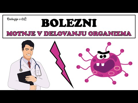 Video: Nalezljiva Bakterijska Bolezen Zaradi Salmonele V Gerbilsu