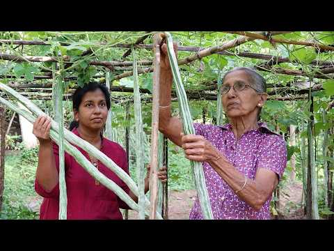 ቪዲዮ: Snake Gourd መረጃ -የእባብ ጎርዶችን እንዴት እንደሚያሳድጉ