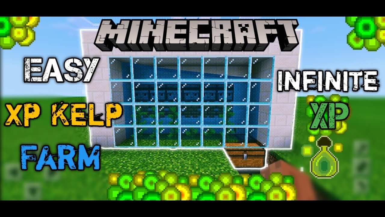 Minecraft: Easy Automatic Kelp Xp Farm Tutorial Bedrock & Java 