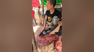 From Whole to Fillet: Cutting Pangas Fish Made Simple"#shortvideo #pangasfish #fishpreparation