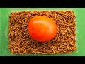 Mealworms Eating Tomatto