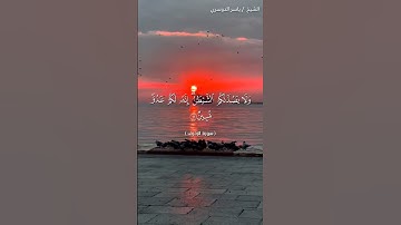 سورة الزخرف من آية 61 إلى آية 64 بصوت الشيخ ياسر الدوسري♥♥