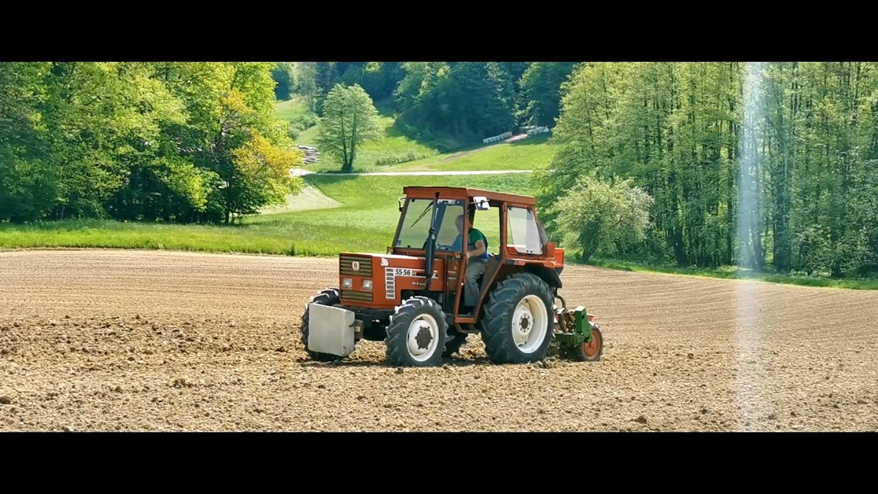 Corn Planting 2025 | Small Dairy Farm