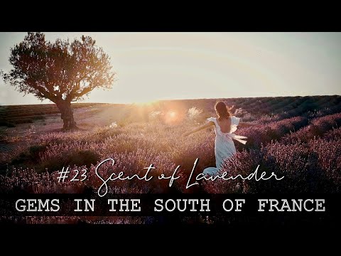 [SUB] #23. SCENT OF LAVENDER | Travel Vlog 2022: Provence, Valensole, Gorges du Verdon, Grasse