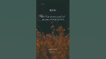 { إِنَّ اللَّهَ لا يُحِبُّ كُلَّ خَوّانٍ كَفورٍ﴾القارئ الشيخ عبدالله الموسى💚