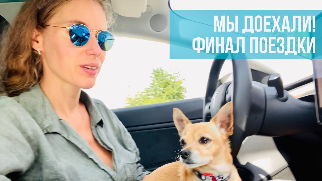 Tesla собака режим