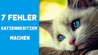 7 Fehler Die Katzenbesitzer Immer Wieder Machen!  | Katzen Tipps by KittyKitty 7,761 views 5 years ago 3 minutes, 12 seconds