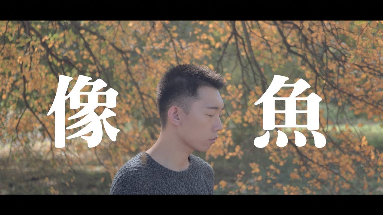 許莉潔ZJ Hsu Cover | 王貳浪 【像魚】