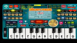 R - Org Şu Dağlarda Kar Olsaydim