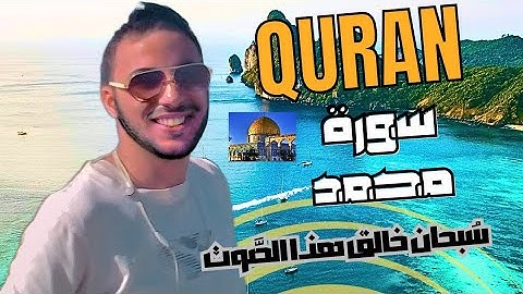 القرآن الكريم وكانك تسمعه لأول مرة❤️💛💕💟 سورة محمد القارئ حمزة مدبوح 💙💮💛💕💭🌹💔