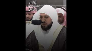 سوره الزمر بصوت الشيخ ماهر حمد المعيقلي ☘️ #ماهر_المعيقلي #قران_كريم #تلاوة_خاشعة #اكتب_شي_تؤجر_عليه