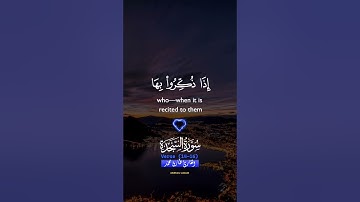قران كريم بصوت القارئ طارق محمد سورة السجدة #القران_الكريم_راحة_نفسيه