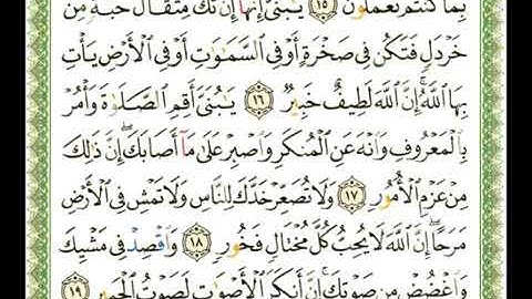 سورة لقمان 31 - 114  شيرزاد عبد الرحمن طاهر - قراءة مرتلة