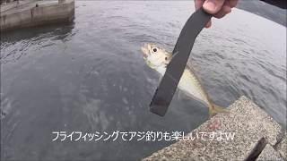 簡単 フライフィッシングでアジ釣り Youtube 簡単 フライフィッシングでアジ釣り Youtube