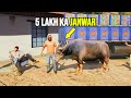 5 lakh ka janwar  bakra eid series 2024  episode 1  gta 5 gameplay