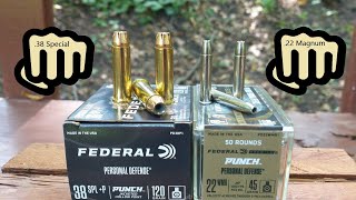 Federal Punch .22 WMR VS .38 Special+P Ballistic Test