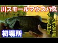 【川スモールマウスバス】ワームのサイズってやっぱり大事！？