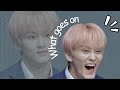 The hilarious world of mark lee