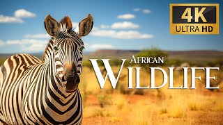 African Wildlife 4K 🐾 Discovery Relaxation Film With Peaceful Relaxing Music & Nature Video