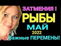 ПЕРЕМЕНЫ! РЫБЫ - МАЙ 2022 Солнечное Затмение/РЫБЫ ГОРОСКОП на МАЙ 2022/ Лунное Затмение /Olga Stella