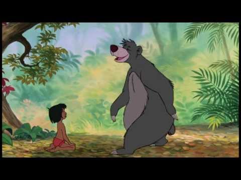 Video: Qual è La Casa Dell'orso