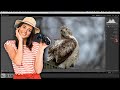 My new lightroom editing workflow for wildlife