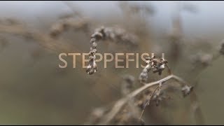 Video thumbnail of "STEPPEFISH - Остаются | qazaq indie | ün | Almaty"