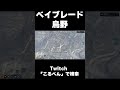 パラシュートが開かず事故映像になってしまう鳥野 #ストグラ #shorts